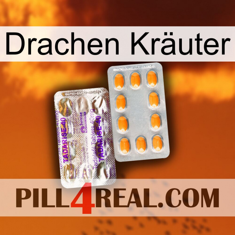 Drachen Kräuter new12